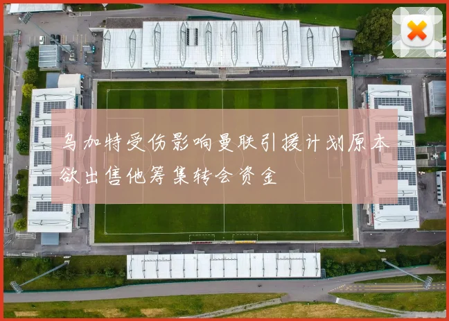 乌加特受伤影响曼联引援计划原本欲出售他筹集转会资金